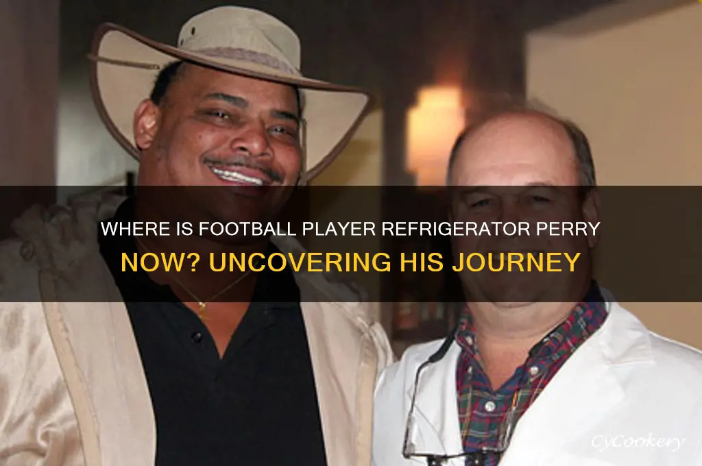 what happened to football player refrigerator perry