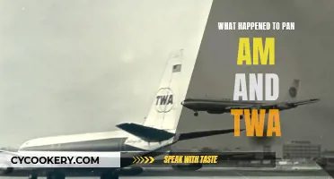 The Rise and Fall of Pan Am and TWA