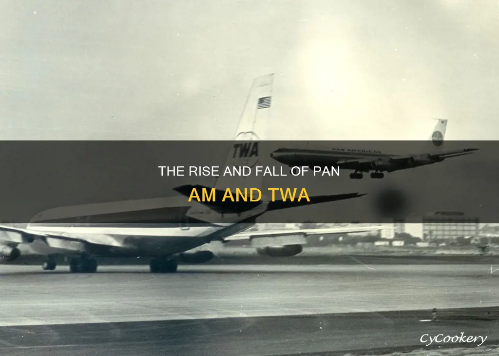 what happened to pan am and twa