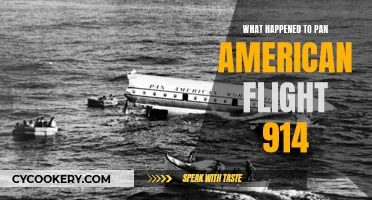 The Mystery of Pan Am Flight 914's Disappearance