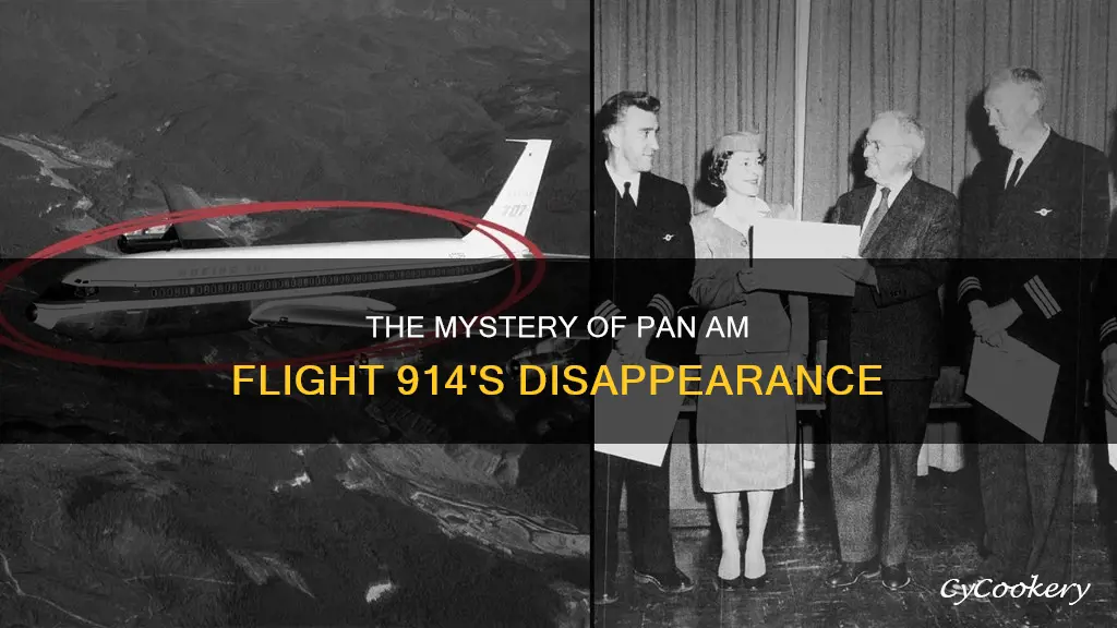 what happened to pan american flight 914