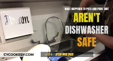 Unsafe Utensils: Dishwasher's Dark Secrets