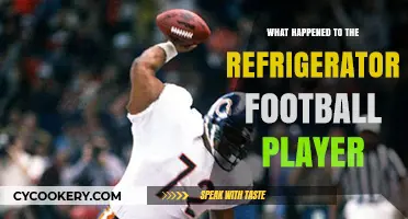 Refrigerator Football Player: The Rise, Fall, and Legacy of William Perry