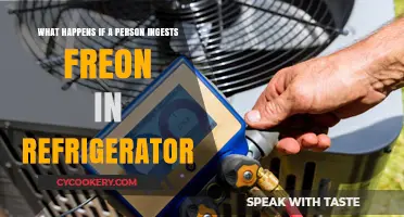 Ingesting Freon from Refrigerators: Severe Health Risks and Emergency Measures