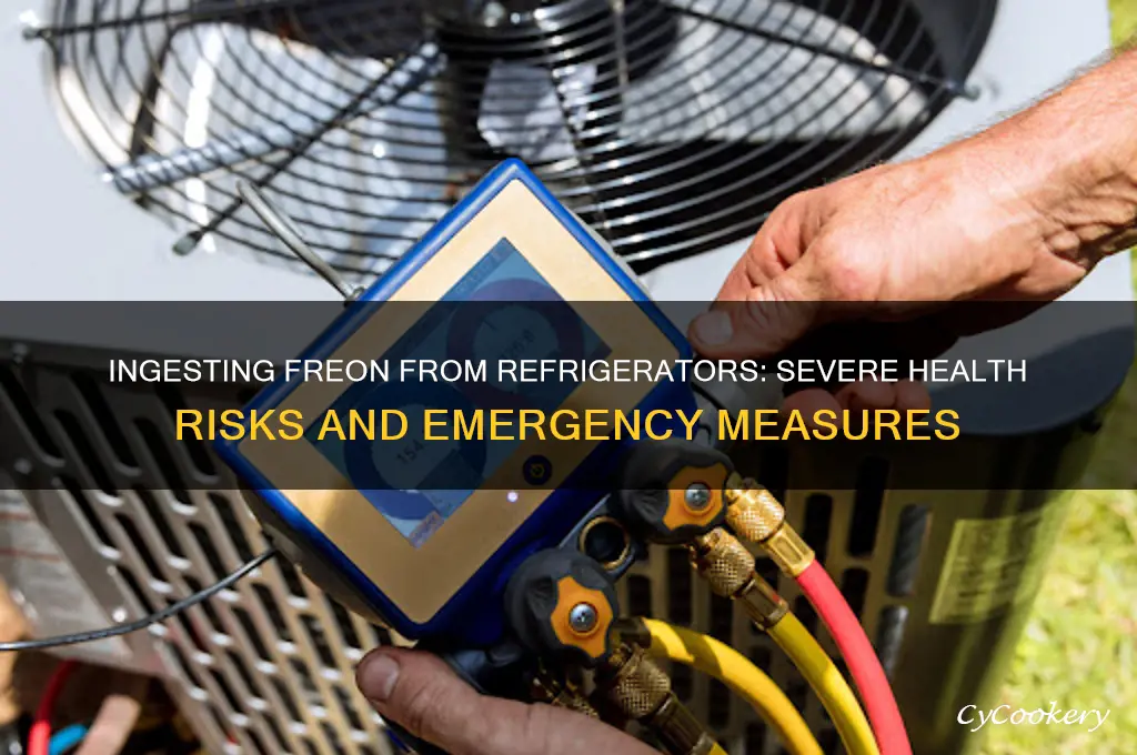what happens if a person ingests freon in refrigerator