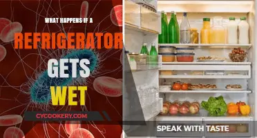 What Happens When a Refrigerator Gets Wet: Risks and Solutions