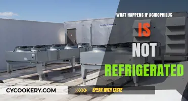 Does Acidophilus Need Refrigeration? Shelf Life and Storage Explained
