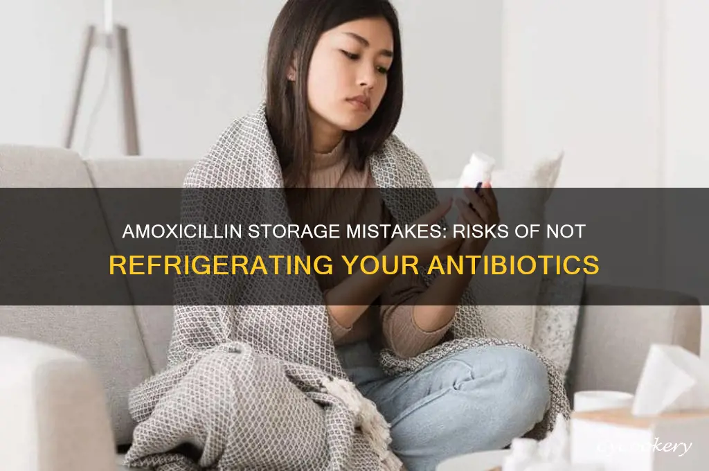 what happens if amoxicillin is not refrigerated