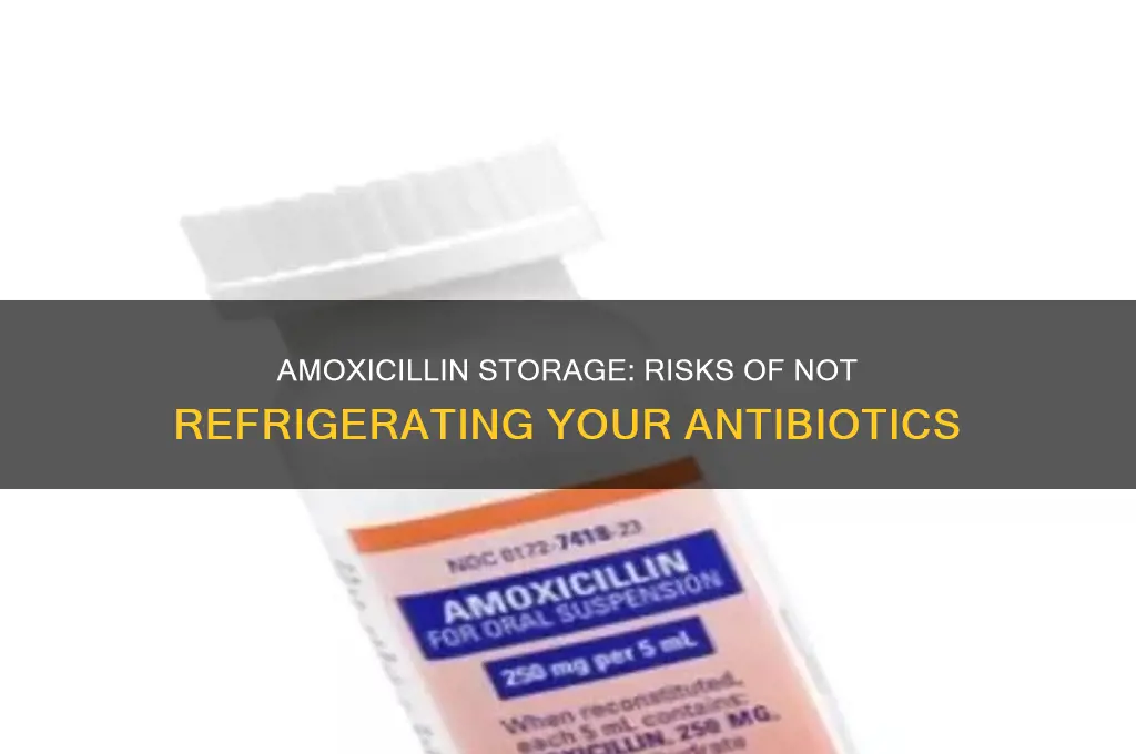 what happens if amoxicillin isn
