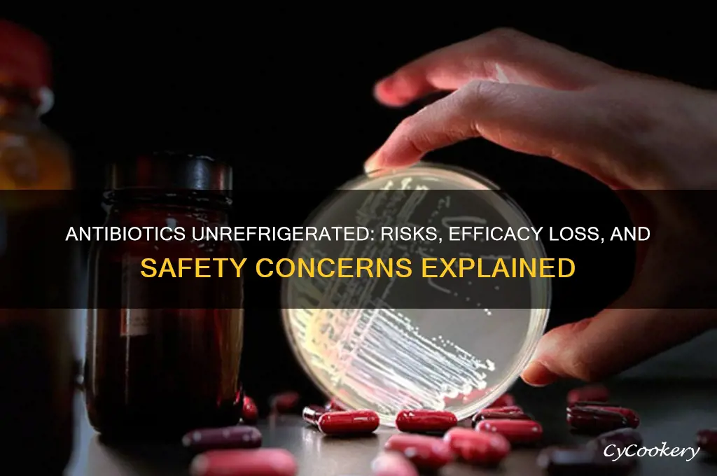what happens if antibiotic is not refrigerated