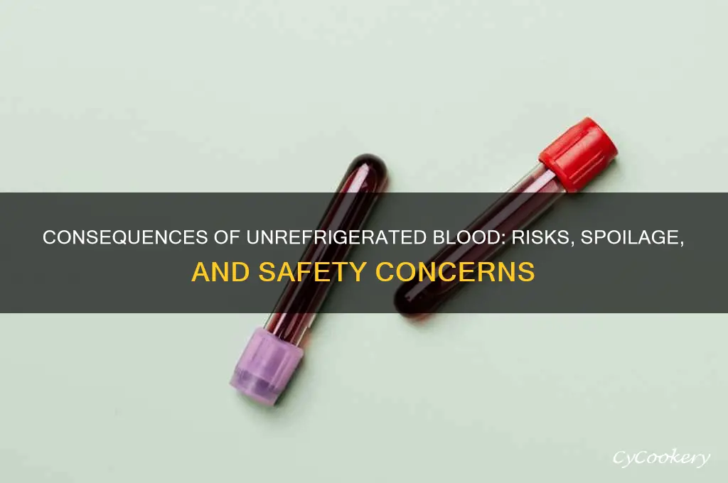 what happens if blood is not refrigerated