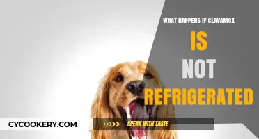 Clavamox Storage Mistakes: Risks of Not Refrigerating Your Pet's Antibiotic