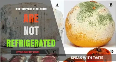 Unrefrigerated Cultures: Risks, Spoilage, and Safety Concerns Explained