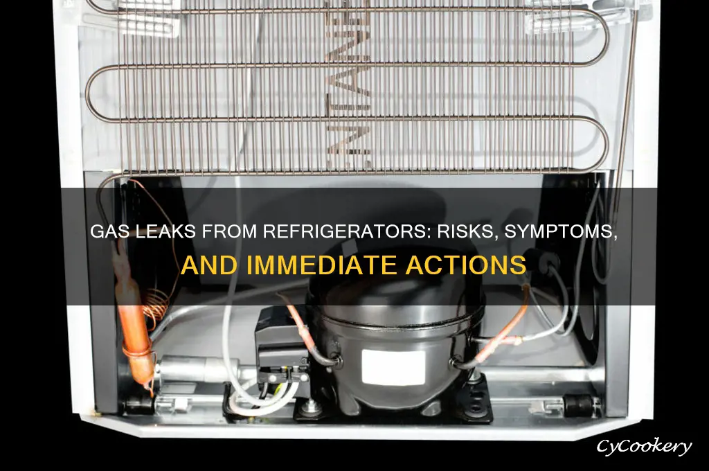 what happens if gas leaks from refrigerator