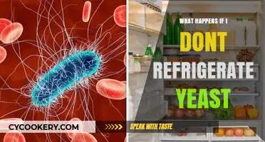 Yeast Without Refrigeration: Risks, Shelf Life, and Baking Impact Explained