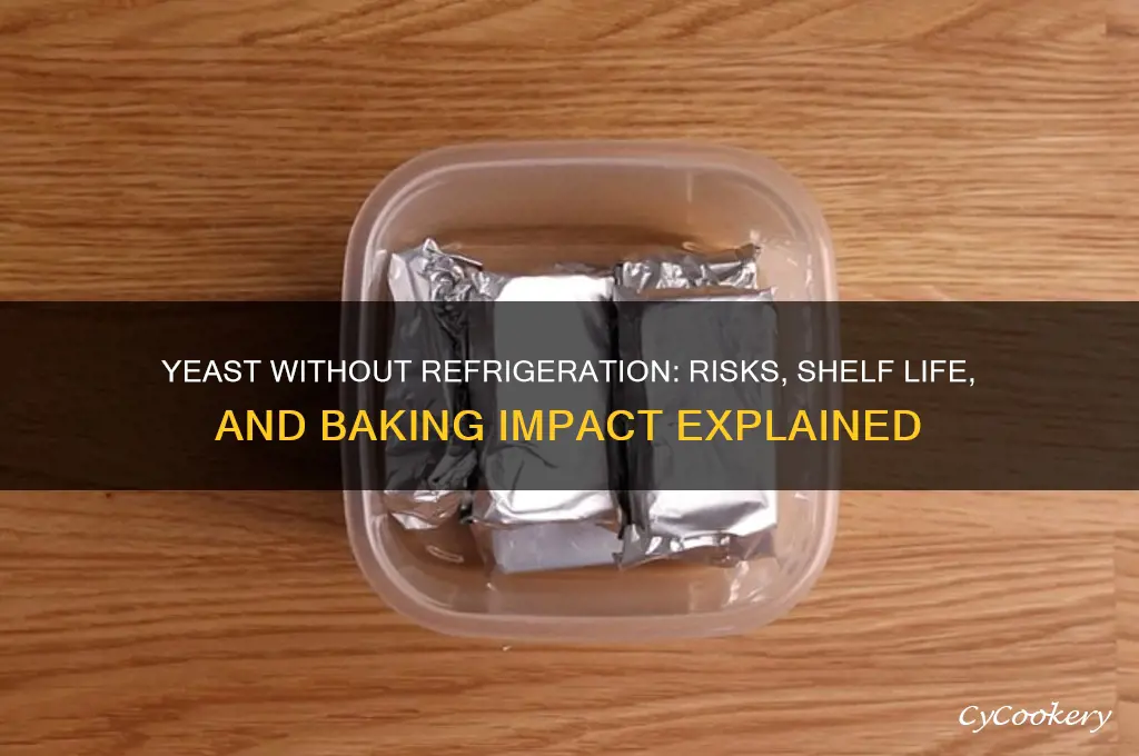 what happens if i dont refrigerate yeast