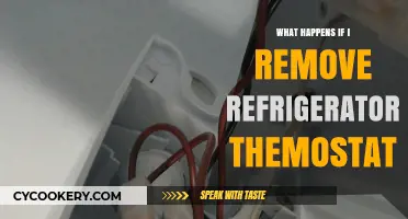 Removing Your Refrigerator Thermostat: Risks, Consequences, and What to Expect