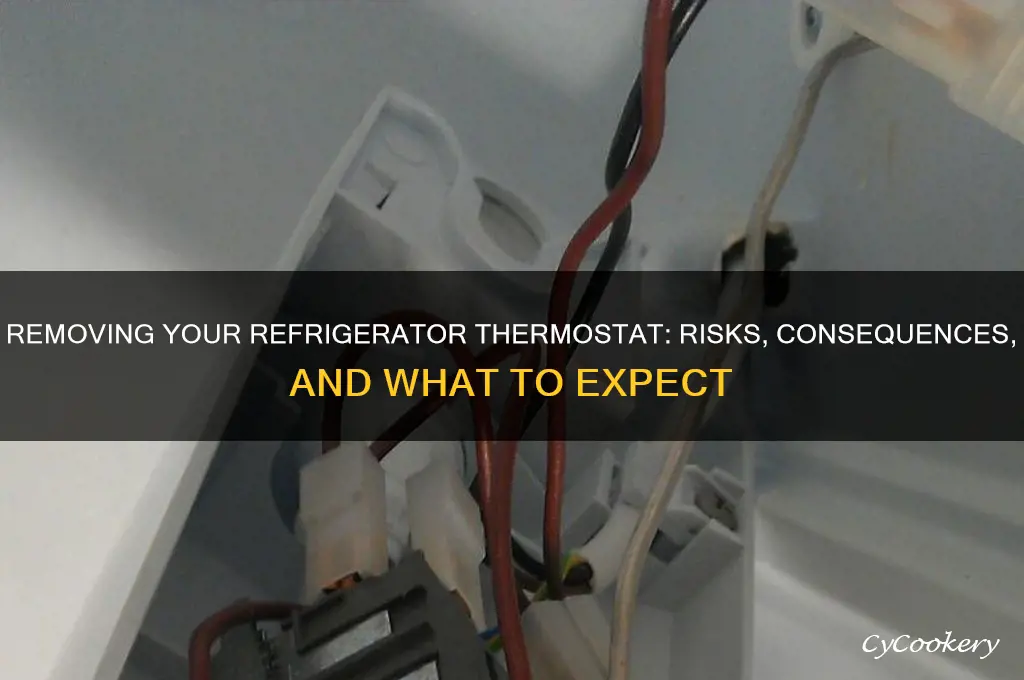 what happens if i remove refrigerator themostat