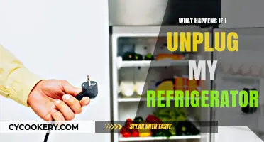 Unplugging Your Fridge: Consequences, Risks, and What to Expect