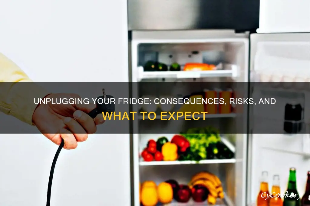 what happens if i unplug my refrigerator