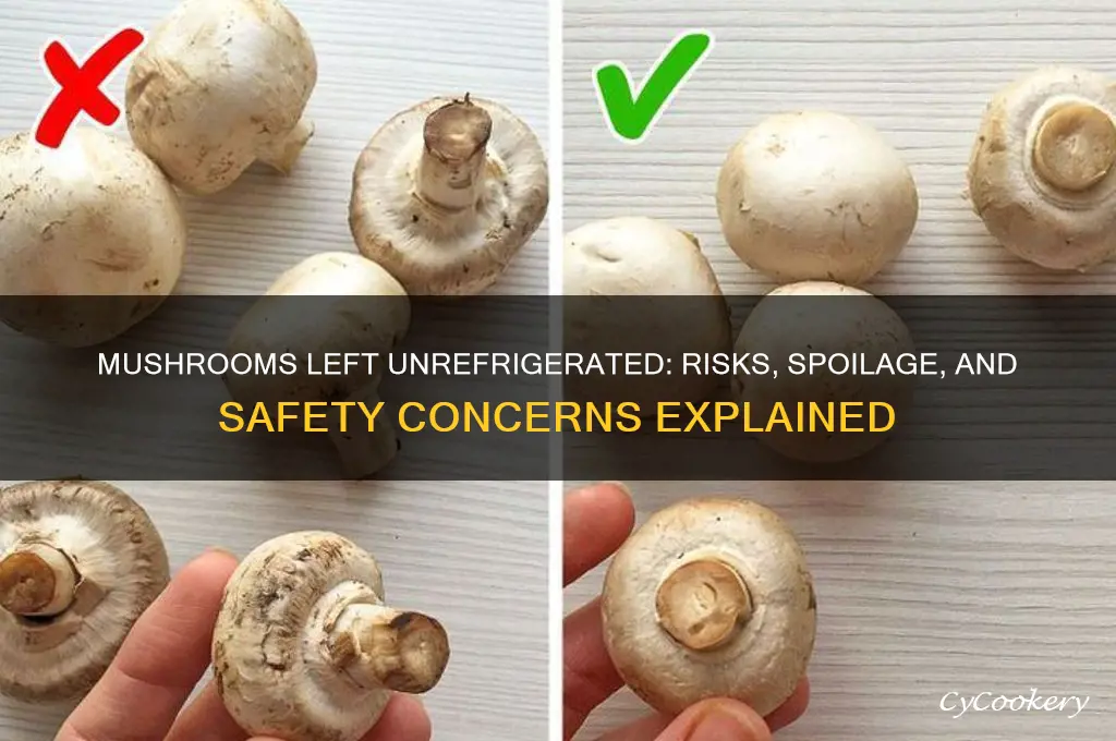 what happens if mushrooms are not refrigerated