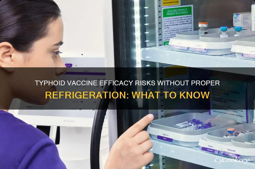 what happens if typhoid vaccine not refrigerated