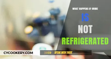 Unrefrigerated Urine: Risks, Degradation, and Proper Storage Explained