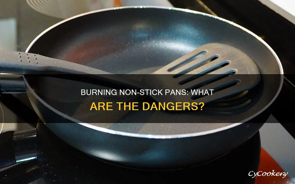 what happens if you burn a non stick pan