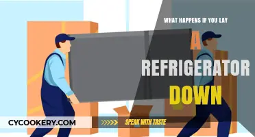 Laying a Refrigerator Down: Risks, Consequences, and Proper Handling Tips