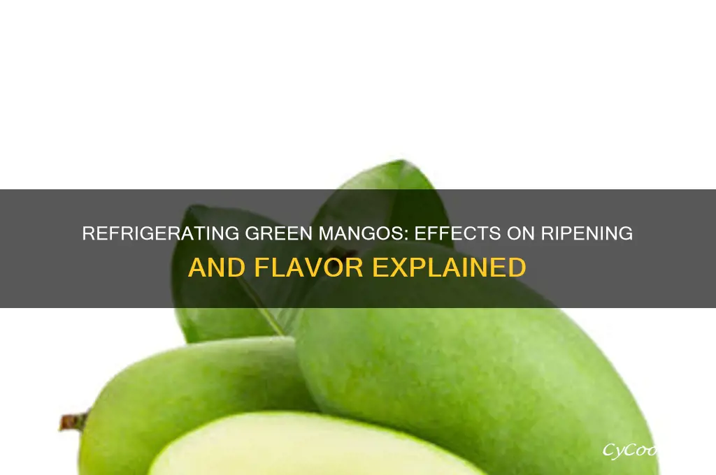 what happens if you refrigerate green mangos