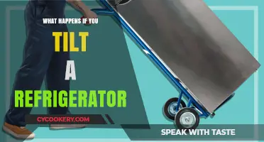 Tilted Fridge Risks: What Happens When You Tip a Refrigerator?