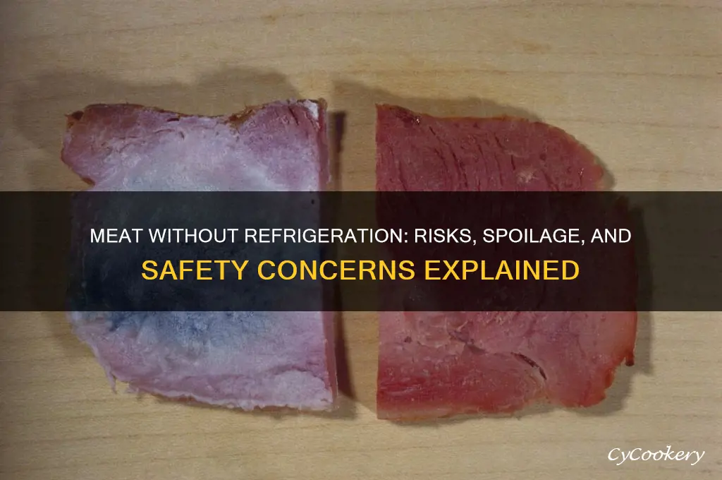 what happens to meat if not refrigerated