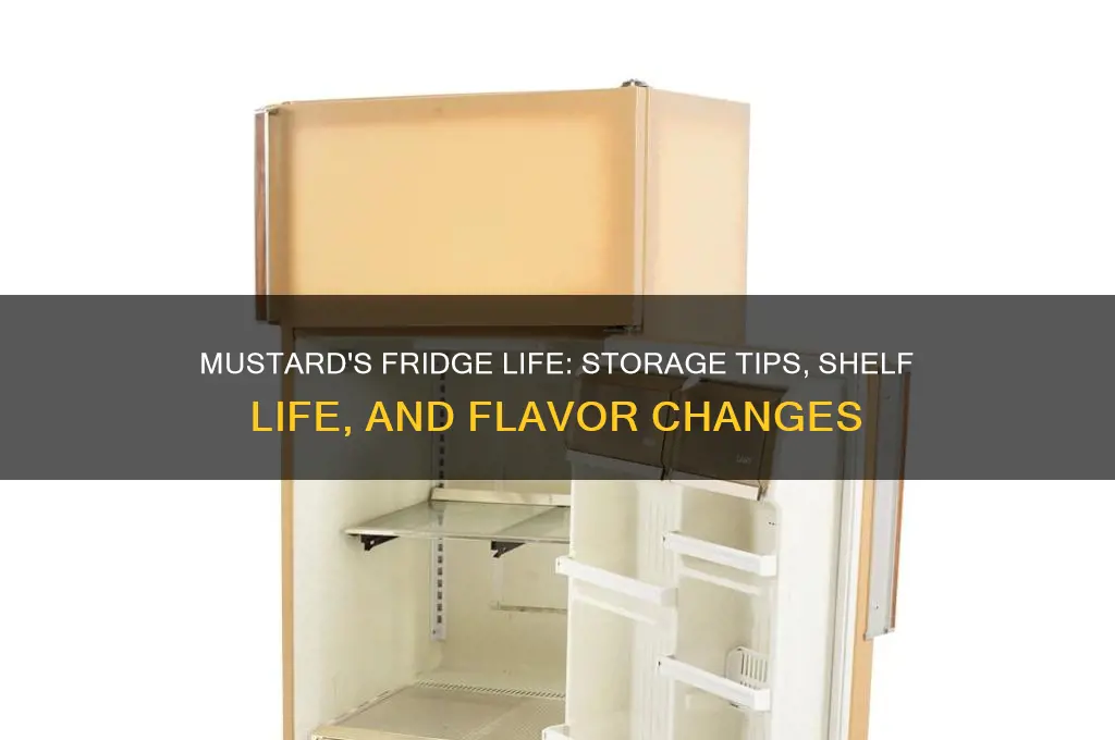 what happens to mustard in the refrigerator