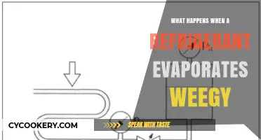 Understanding the Evaporation Process of Refrigerants and Its Impact