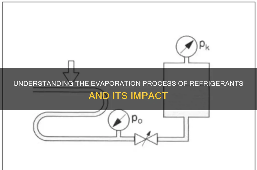 what happens when a refrigerant evaporates weegy