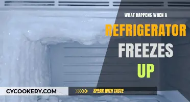 Why Your Fridge Freezes Up and How to Fix It Fast