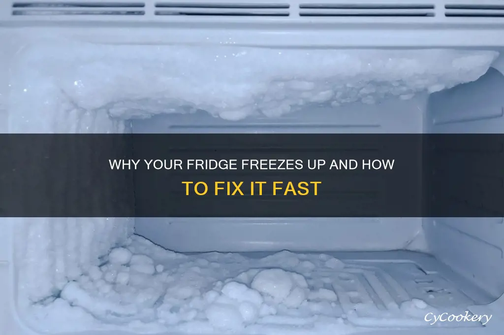 what happens when a refrigerator freezes up