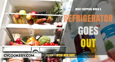 Refrigerator Breakdown: Food Safety, Spoilage, and Repair Solutions Explained