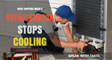 Why Your Fridge Stopped Cooling and How to Fix It Fast