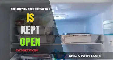 Open Refrigerator Dangers: Energy Loss, Food Spoilage, and More Explained