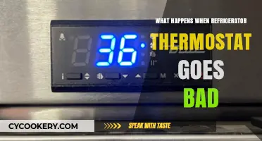 Refrigerator Thermostat Failure: Causes, Symptoms, and Repair Solutions