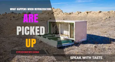 Refrigerator Removal: Environmental Impact and Proper Disposal Methods Explained