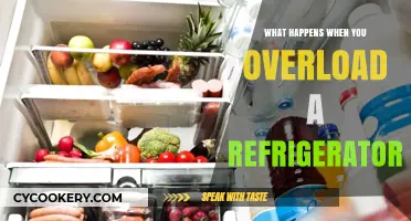 Overloading Your Fridge: Consequences, Risks, and How to Avoid Them