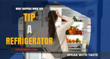 Tipping a Refrigerator: Risks, Consequences, and Safety Tips Explained