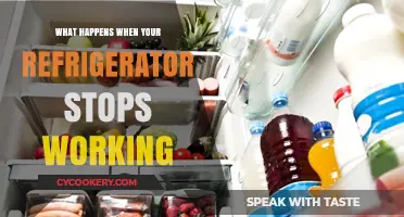 Refrigerator Breakdown: Immediate Steps and Solutions to Prevent Food Spoilage