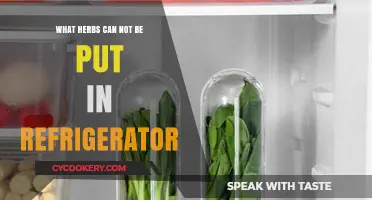 Herbs That Should Never Be Stored in Your Refrigerator