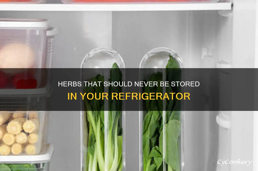 what herbs can not be put in refrigerator