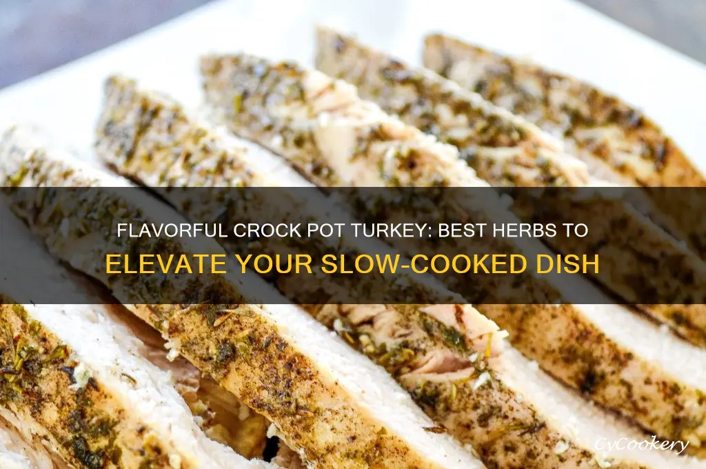 what herbs to add to turkey cook in crock pot