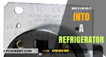Can You Plug a Refrigerator into a 220-Volt Outlet?