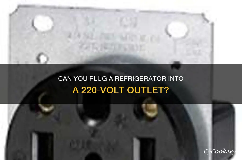 what if 220 volts into a refrigerator